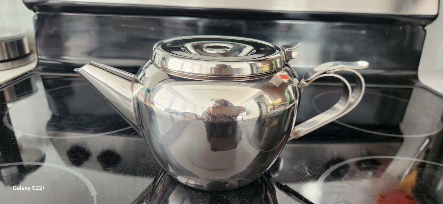 Stainless Steel Teapot