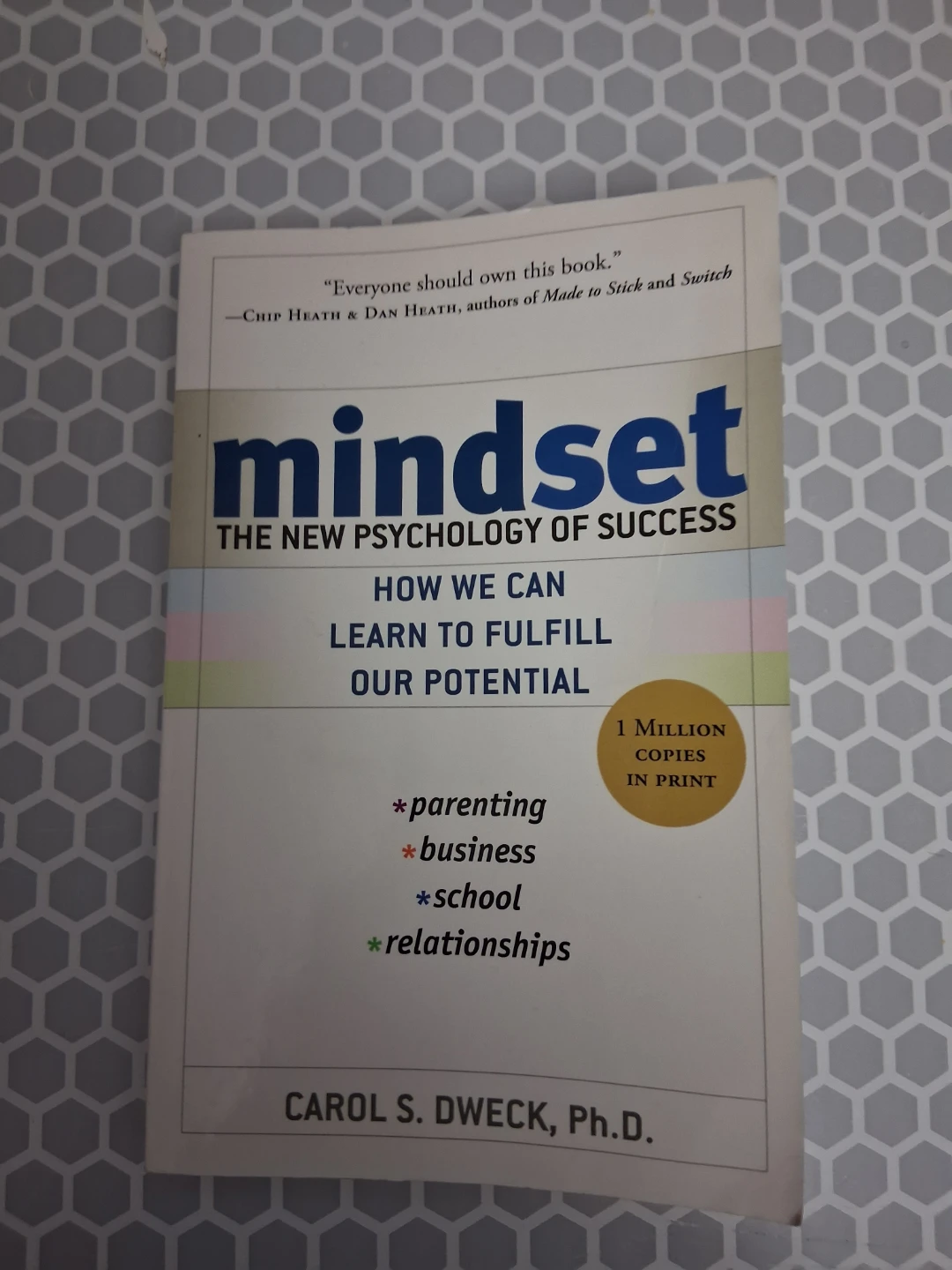Mindset book