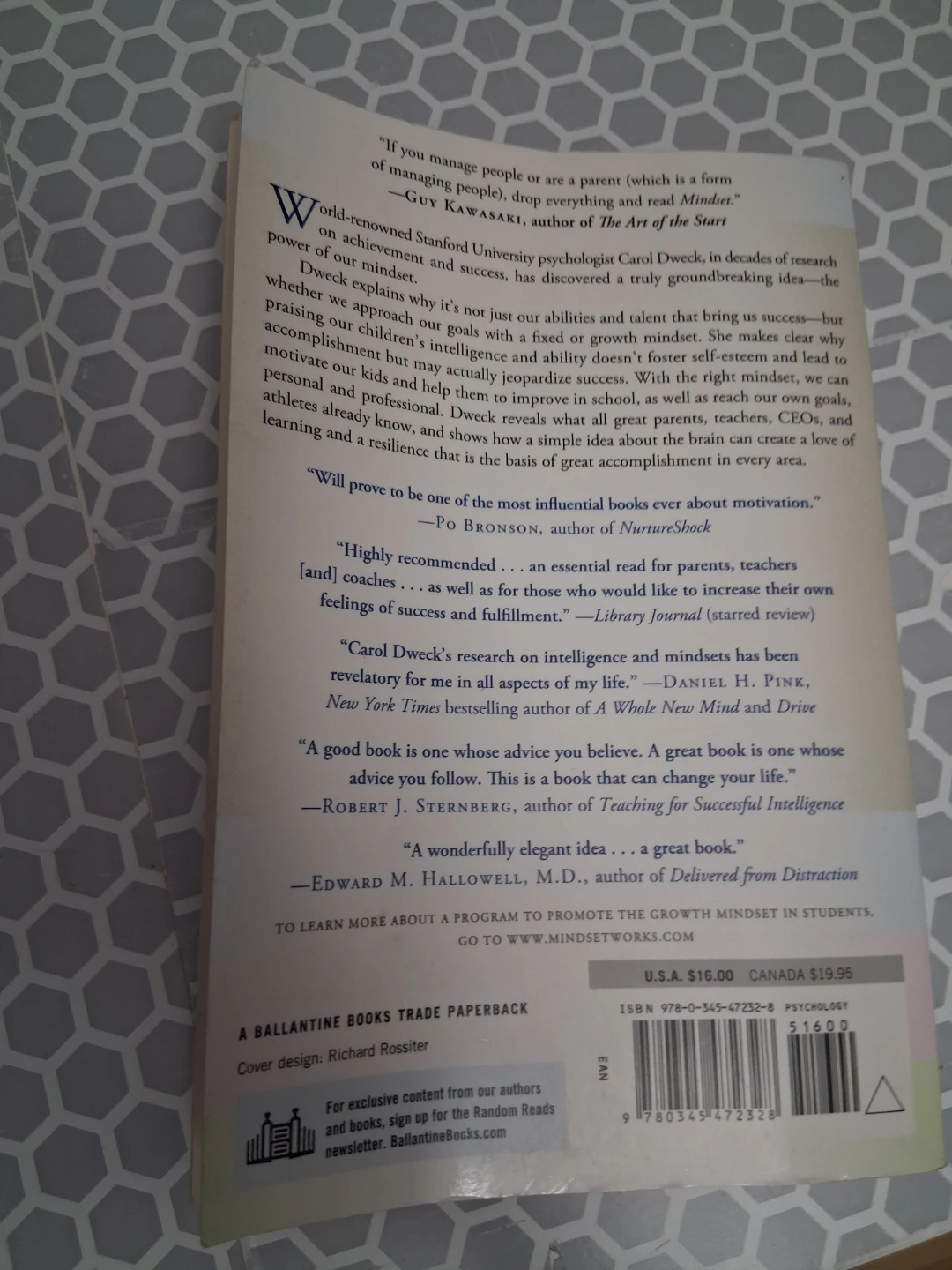 Mindset book - photo 2