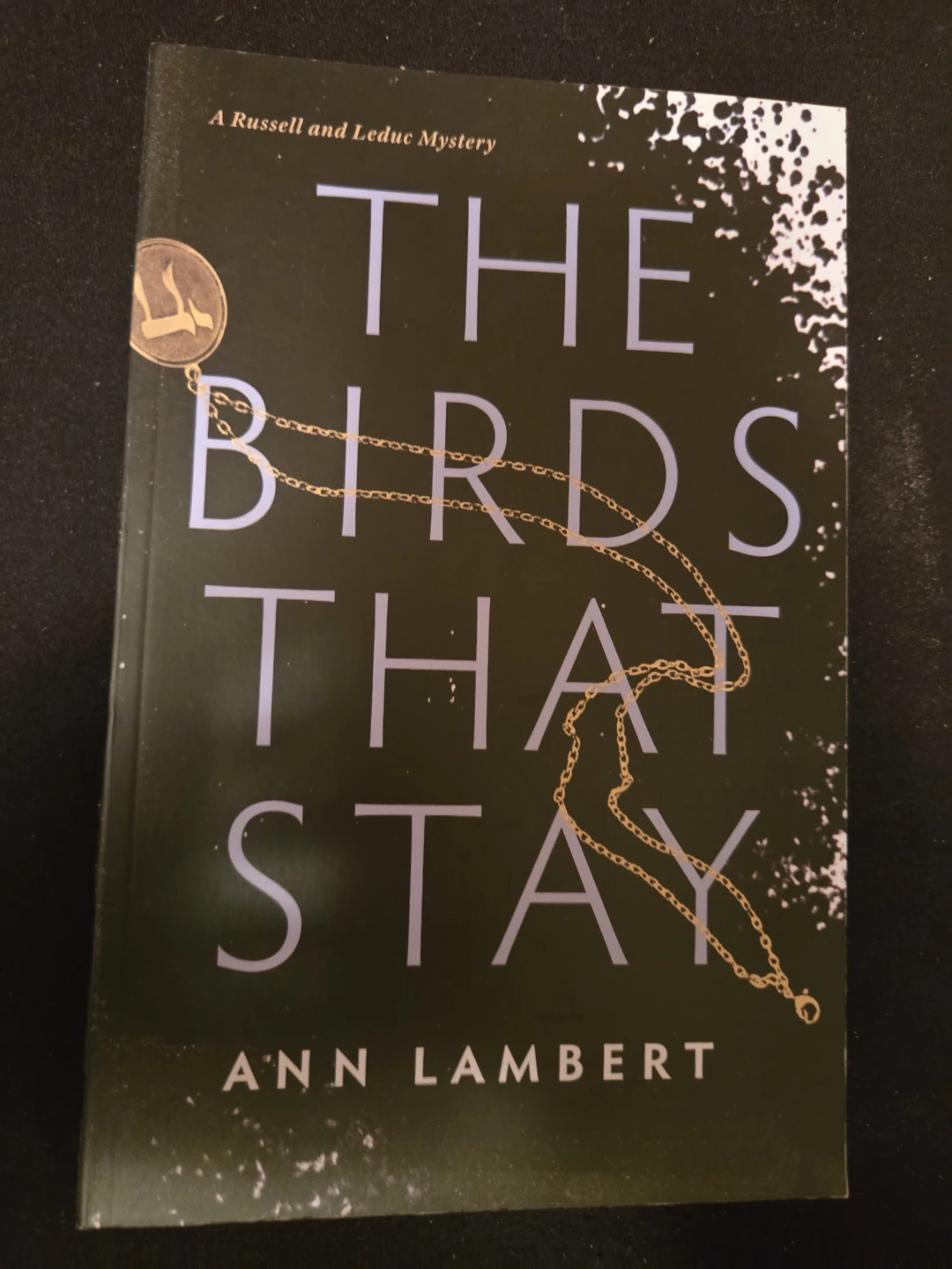 Book: The Birds That Stay by Ann Lambert