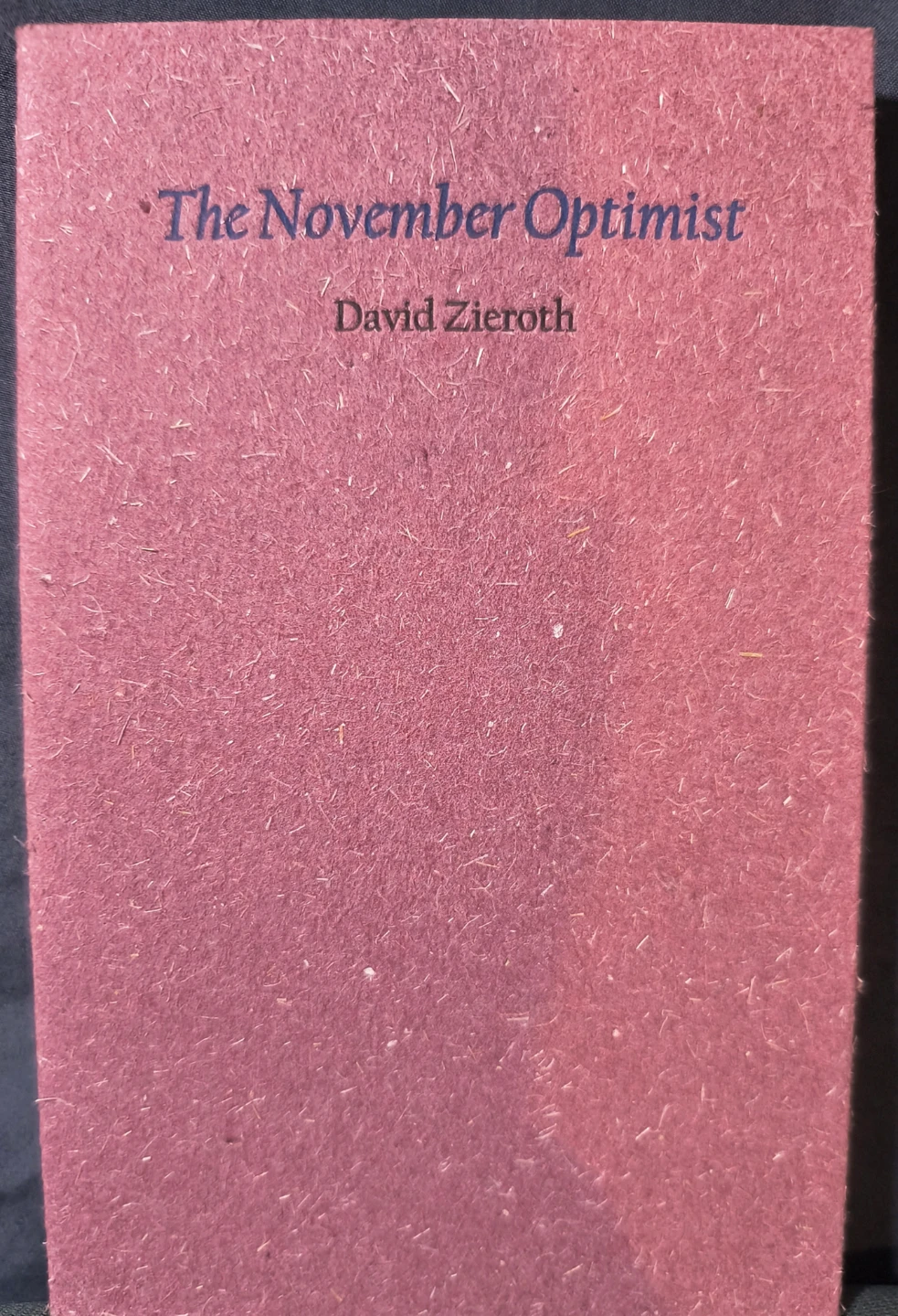 The November Optimist by David Zieroth