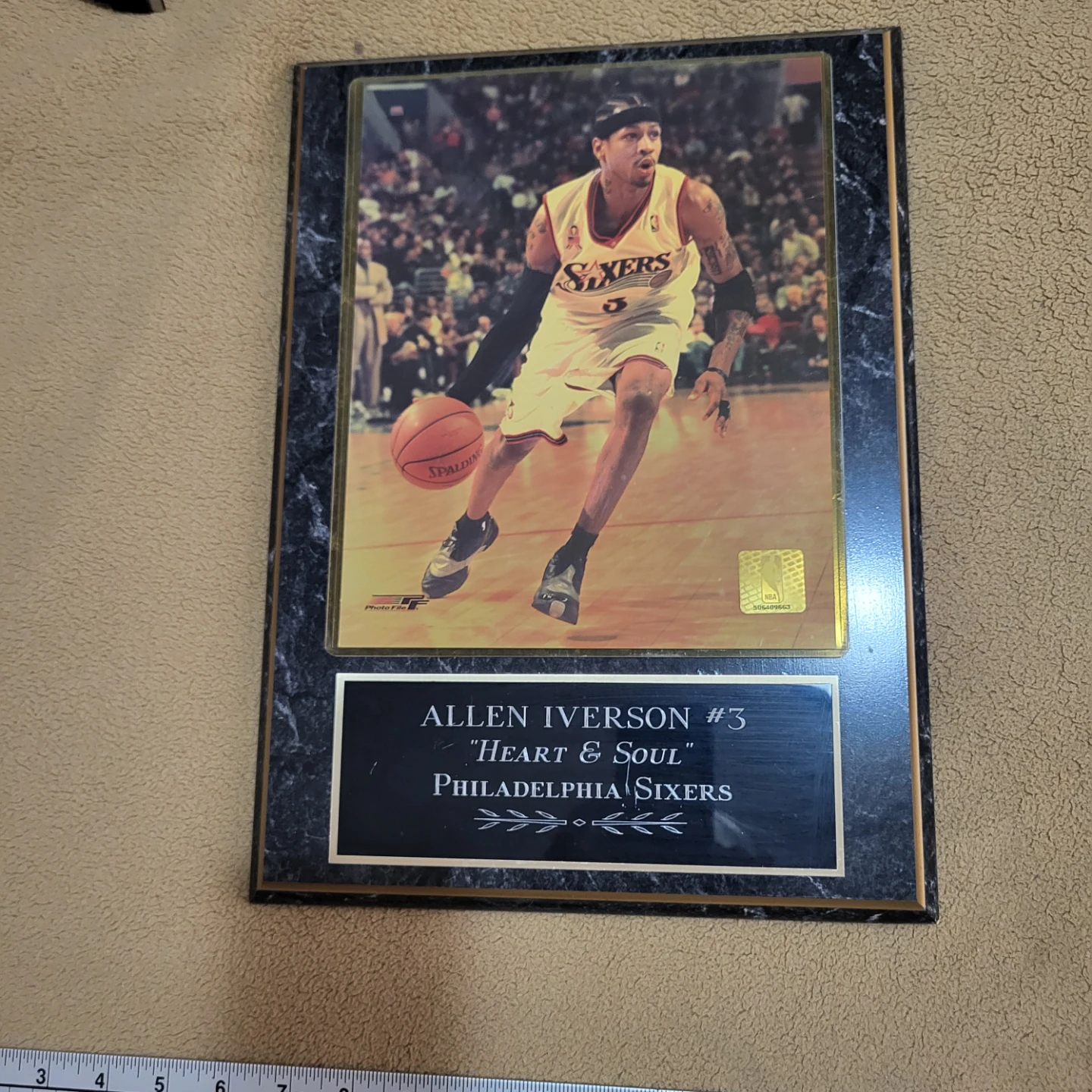 Allen Iverson #3 Philadelphia Sixers Framed Picture