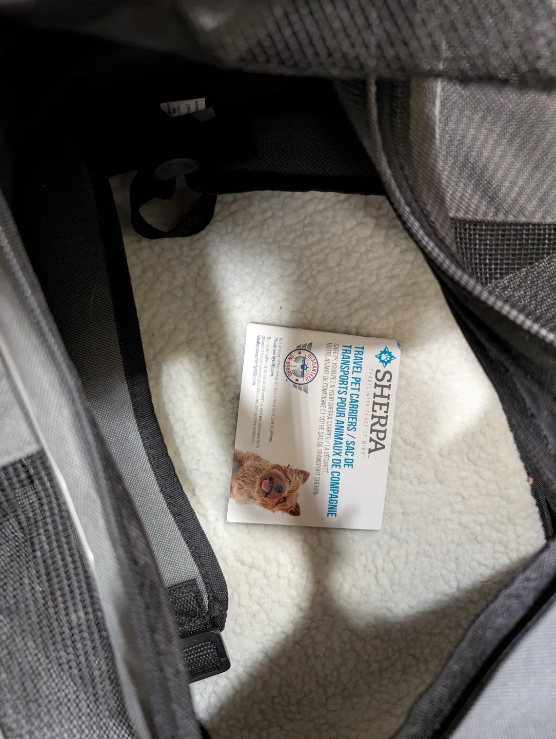 Pet Carrier- Never Used! - photo 3