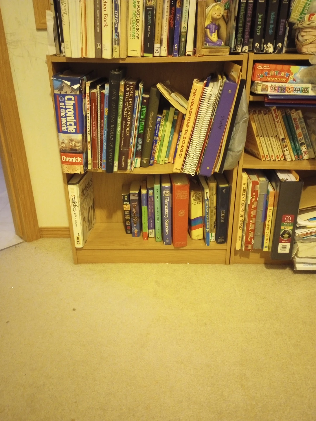 Books shelves