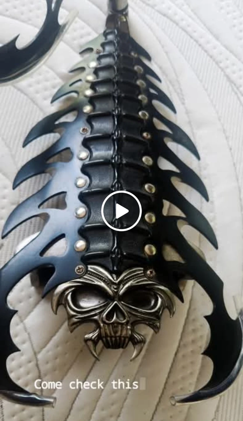 Scorpion shield - photo 5