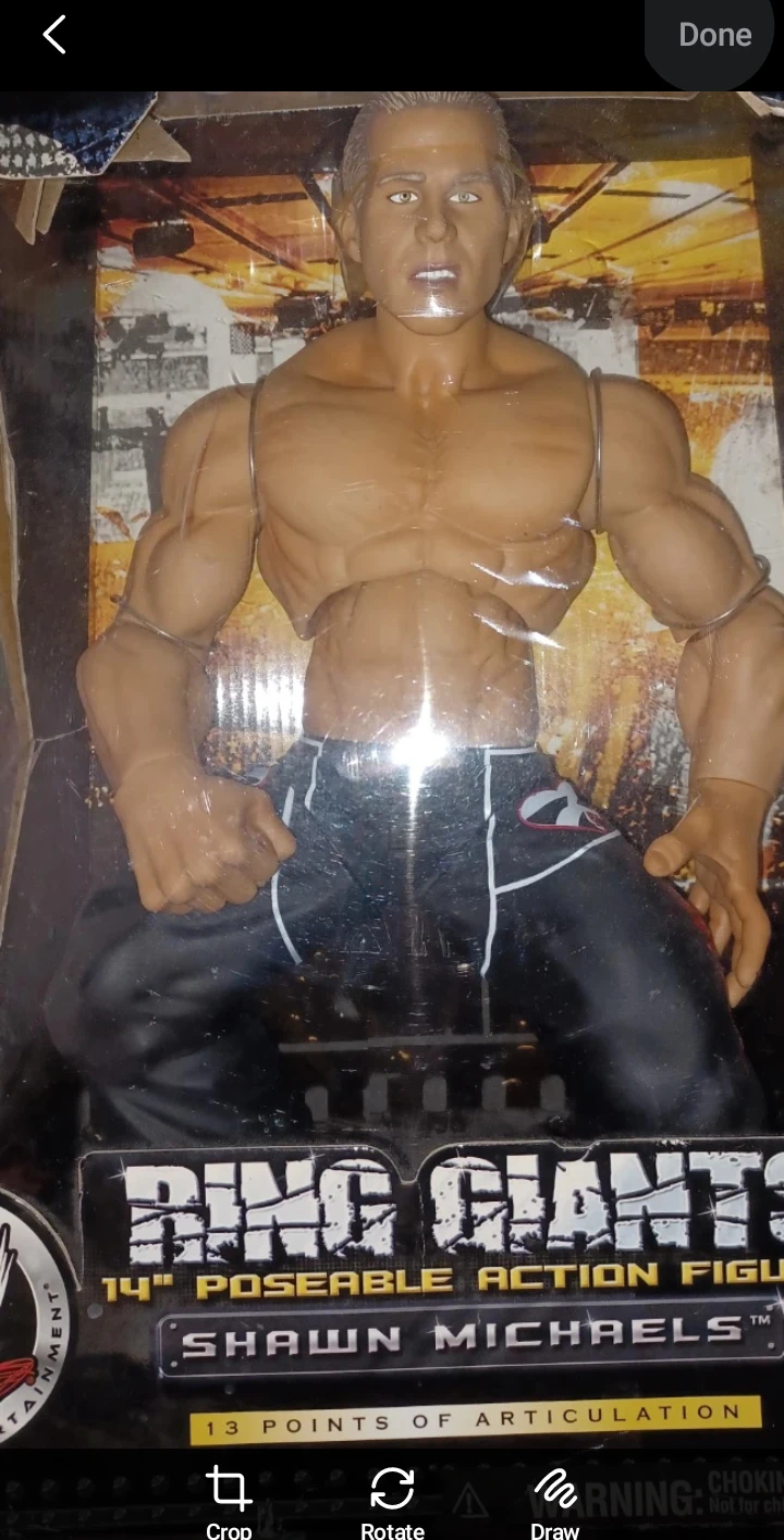 WWE Ring Giants Shawn Michaels 14" Poseable Action Figure - photo 4