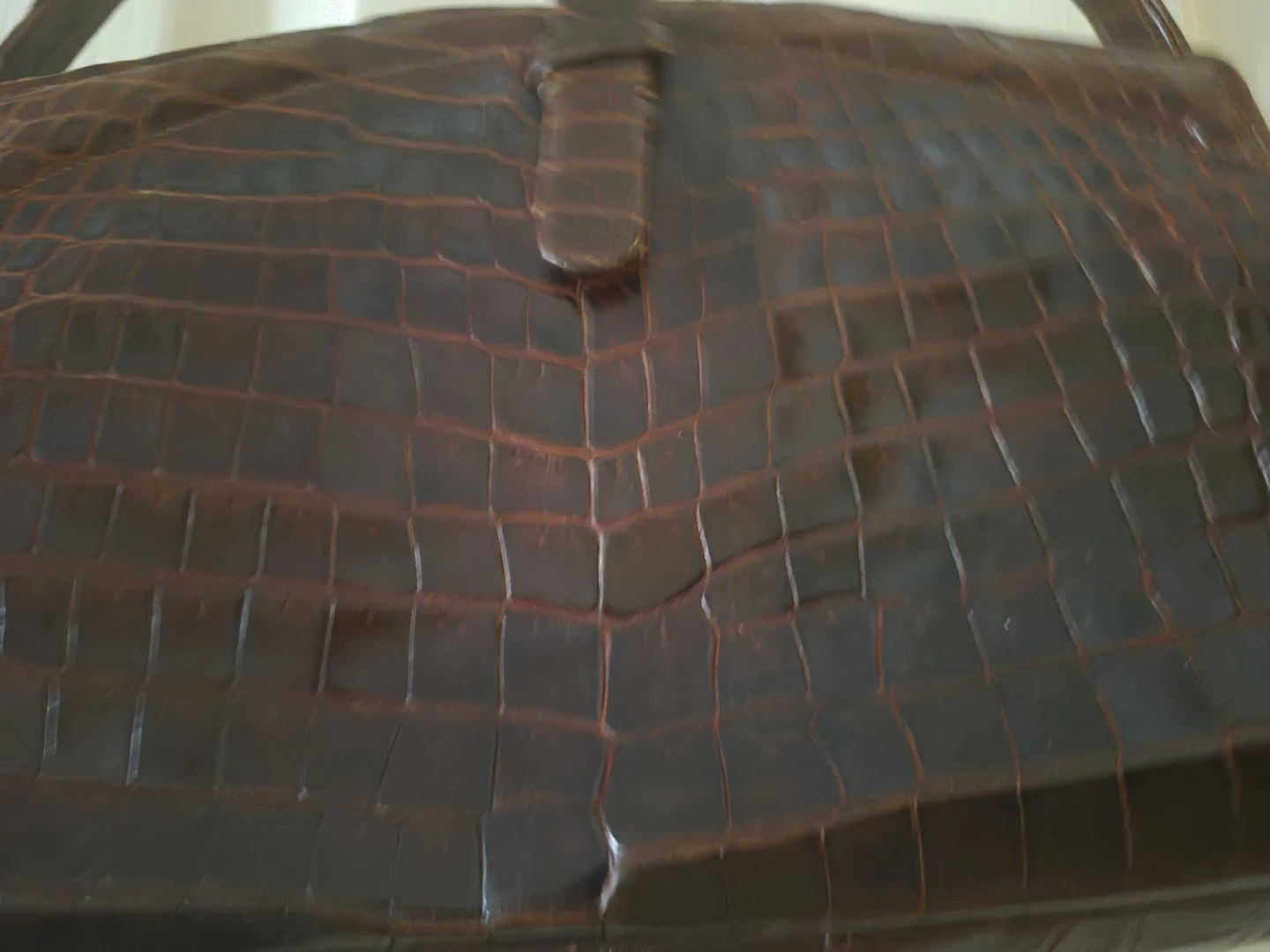 Brown Crocodile Embossed Handbag - photo 2
