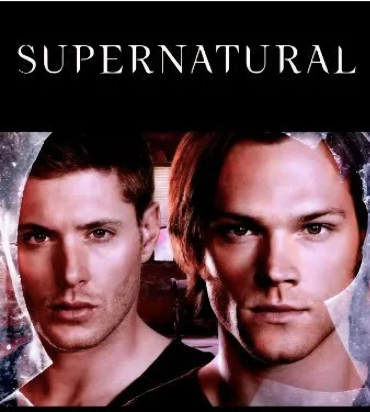 🥕Supernatural: The Complete Eighth Season DVD