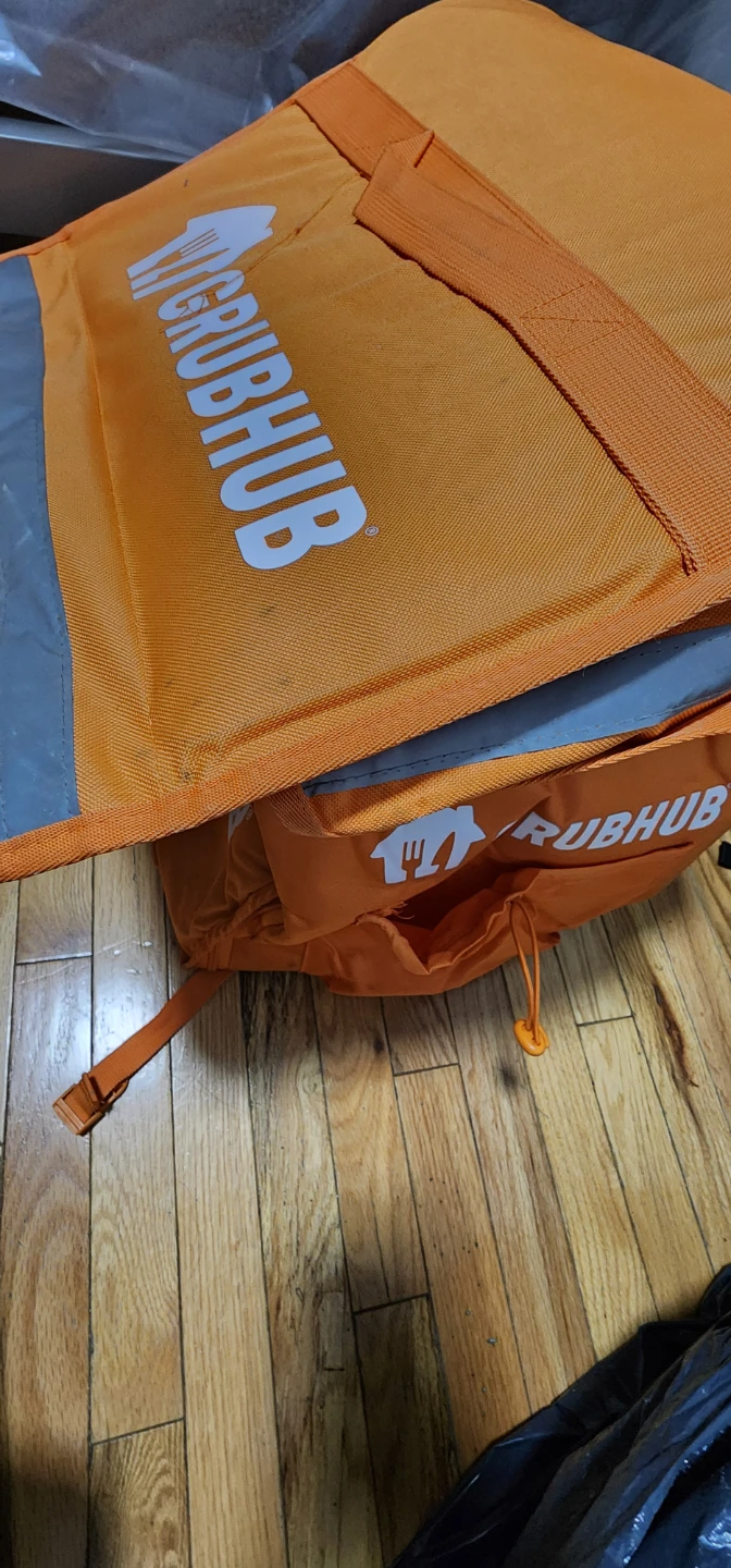 Grubhub Insulated Delivery Bag