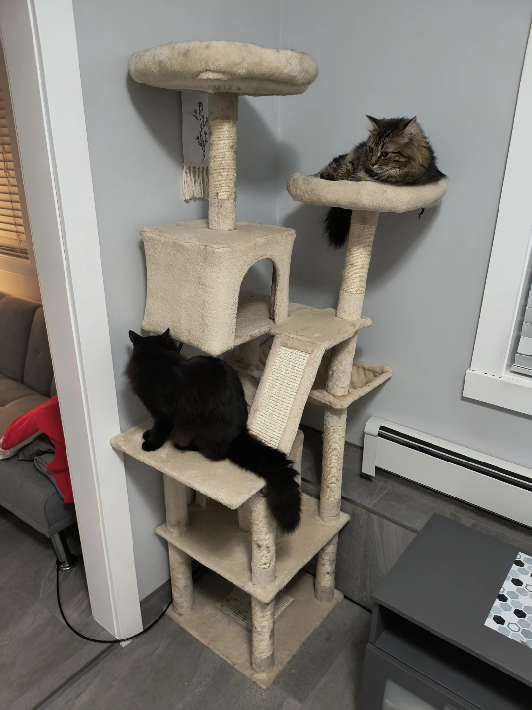 Multi-Level Cat Tree with Condos and Perches