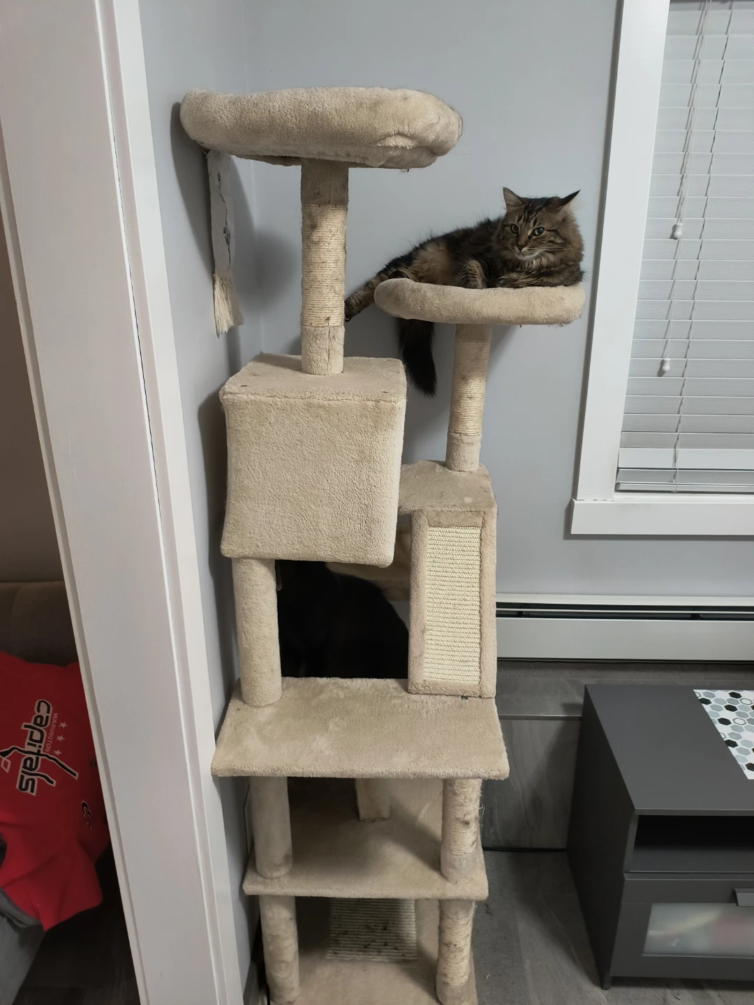 Multi-Level Cat Tree with Condos and Perches - photo 3