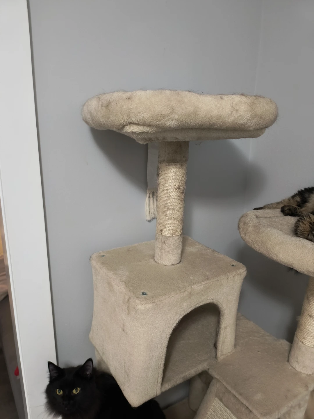 Multi-Level Cat Tree with Condos and Perches - photo 4