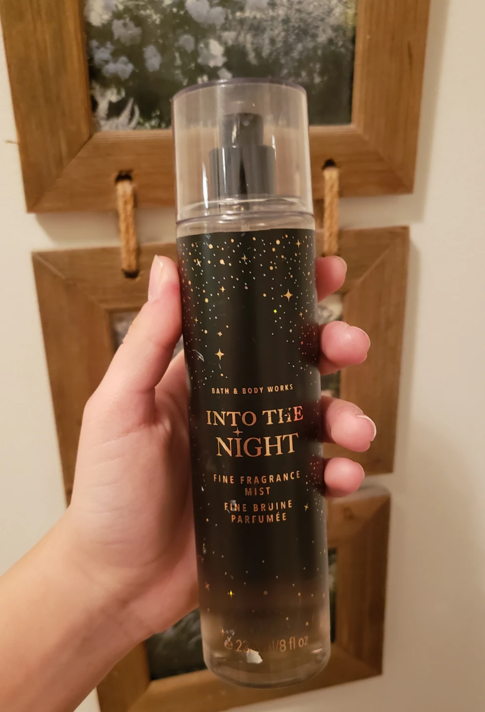 Bath & Body Works Into The Night Mist