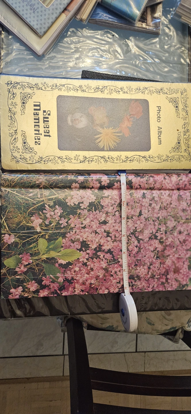 Vintage Photo Albums and Sleeves