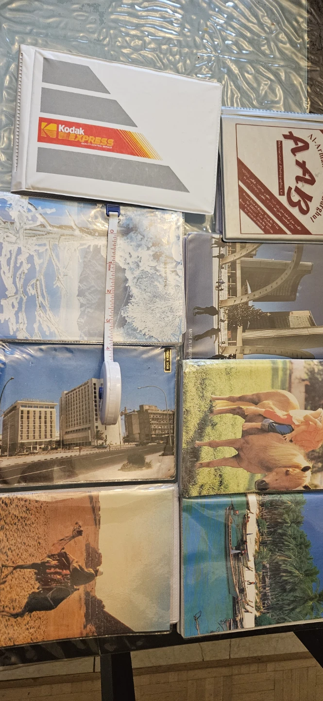 Vintage Photo Albums and Sleeves - photo 3