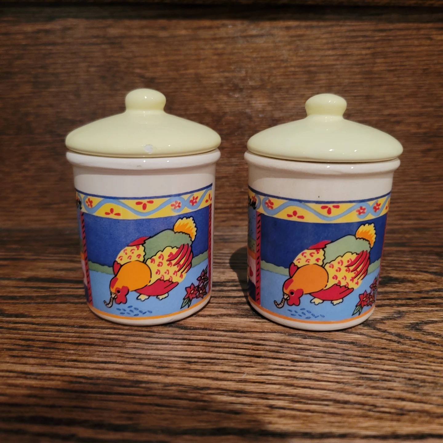 Set of 2 Ceramic Canisters