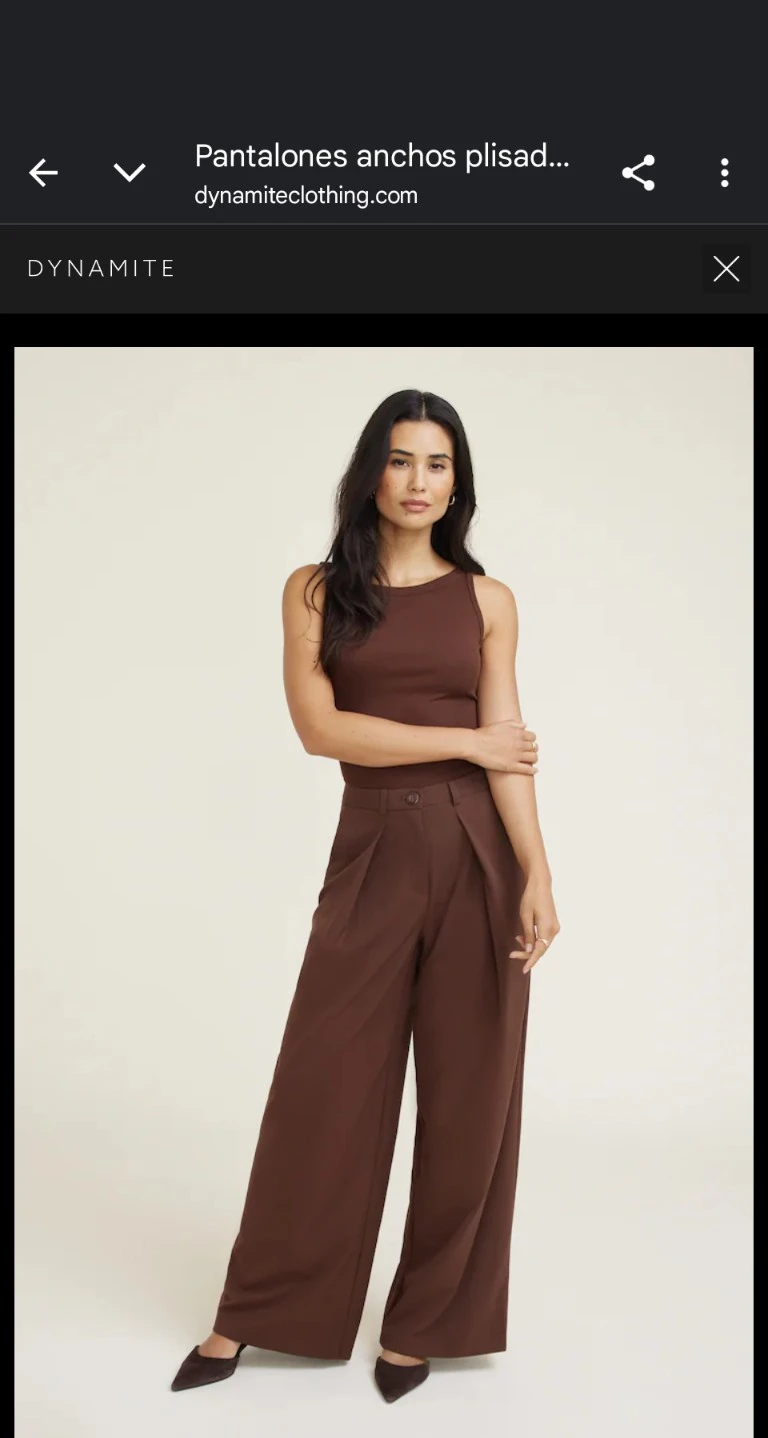 DYNAMITE Wide Leg Pleated Pants Size 12