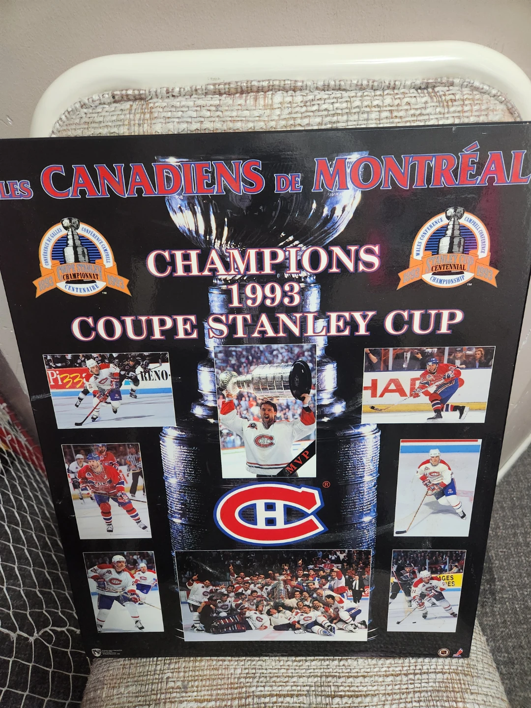 Montreal Canadiens 1993 Stanley Cup Champions Display