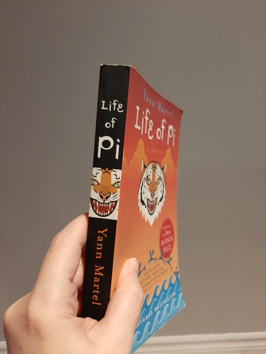 New Life of Pi Book by Yann Martel - photo 3