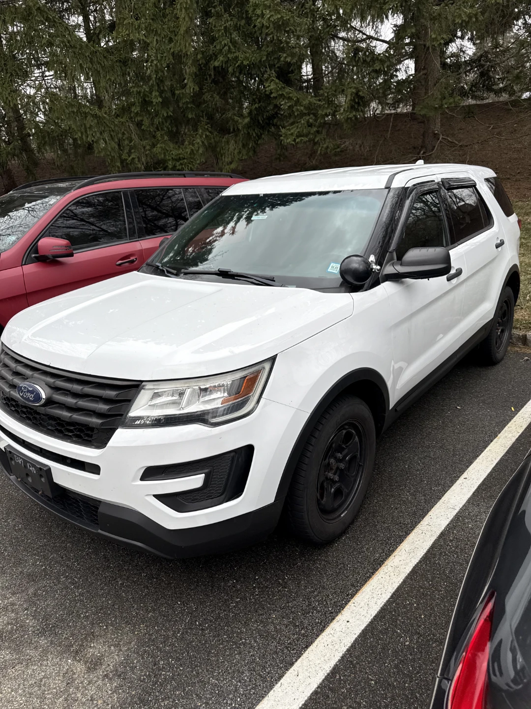 Ford Explorer White SUV