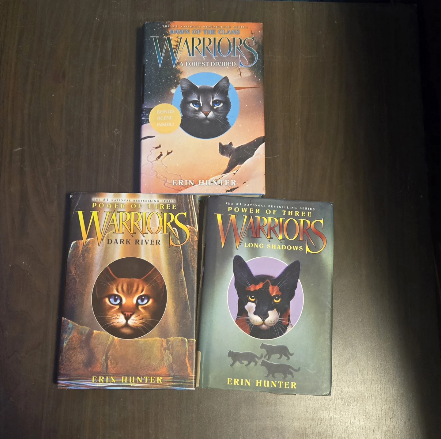 Warriors Book Series by Erin Hunter