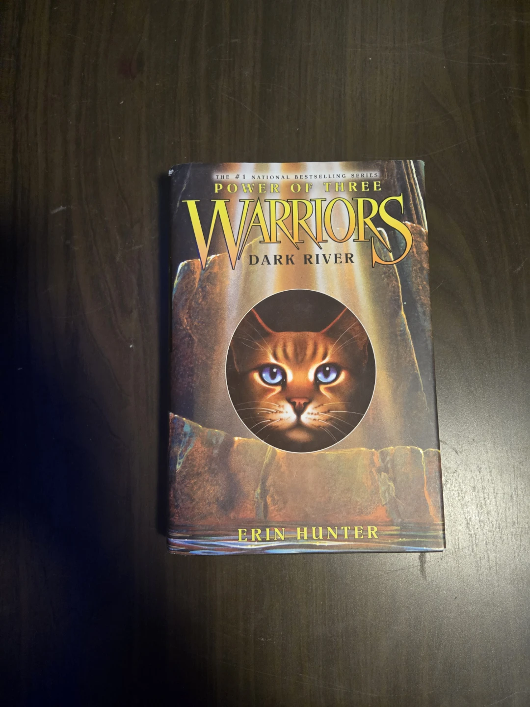 Warriors Book Series by Erin Hunter - photo 4