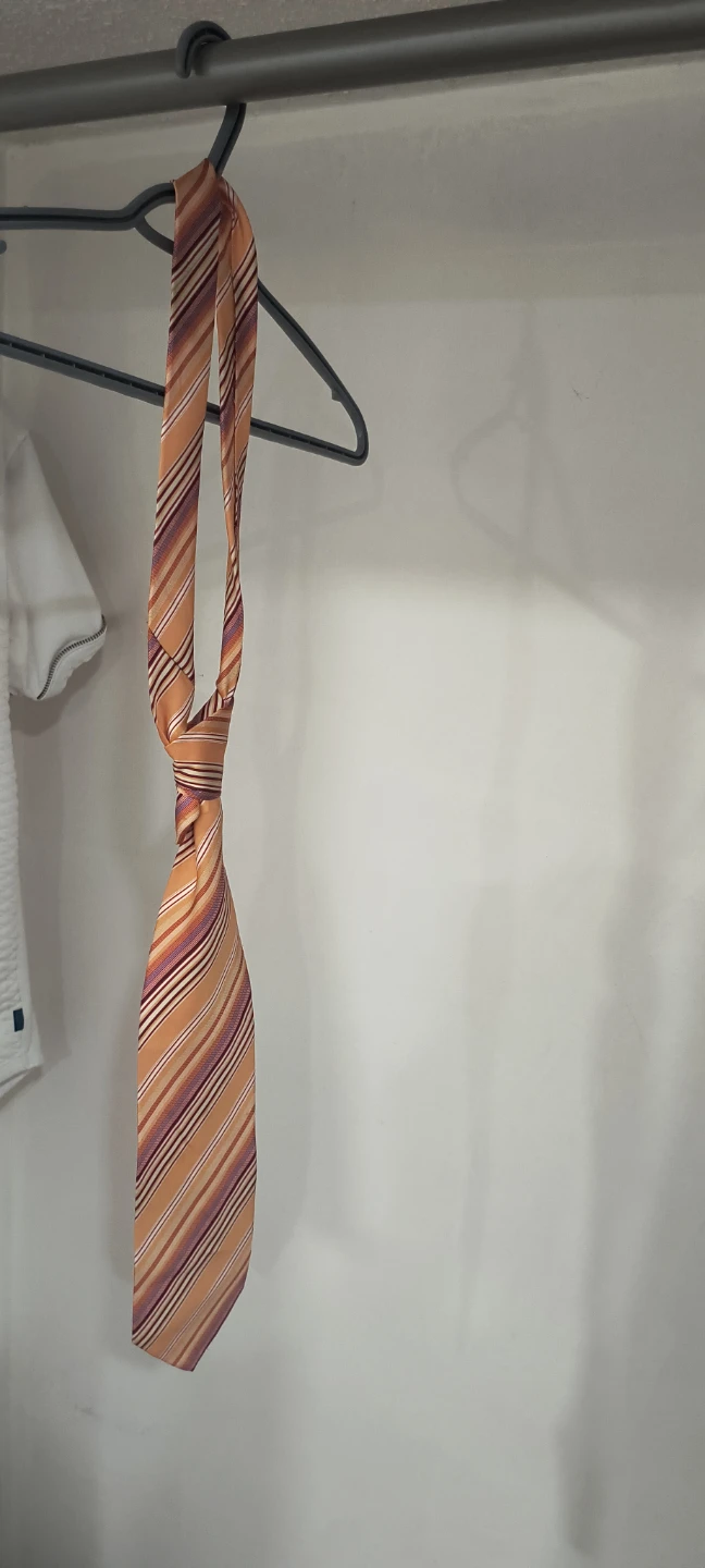 Daniel Hechter Striped Tie 🧡