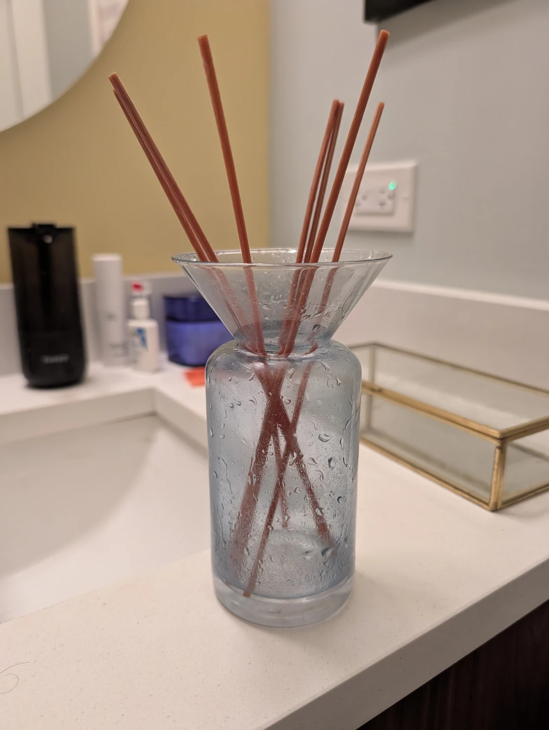 Glass Diffuser Bottle with Reed Sticks