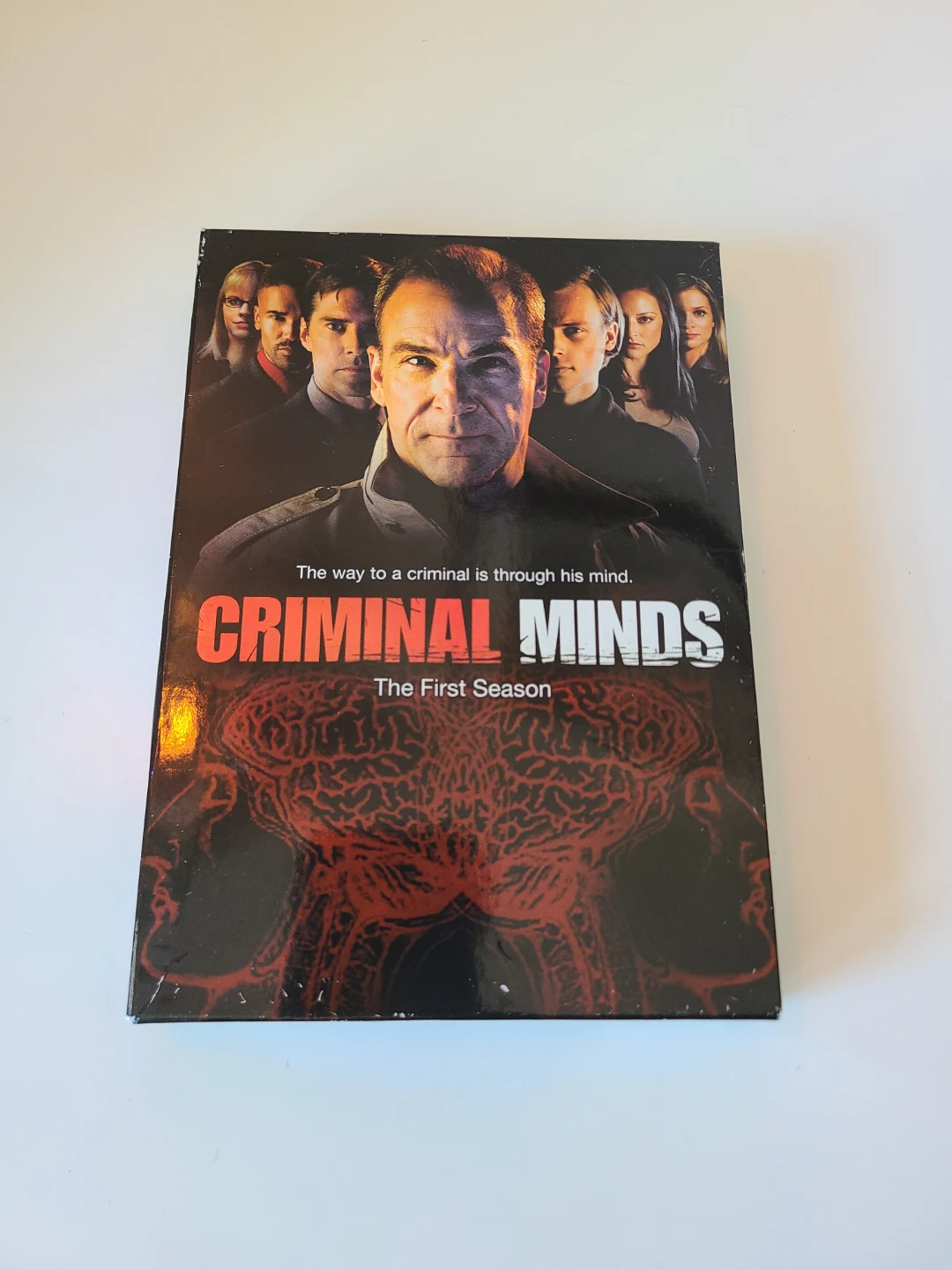 Criminal Minds: The First Season DVD Set