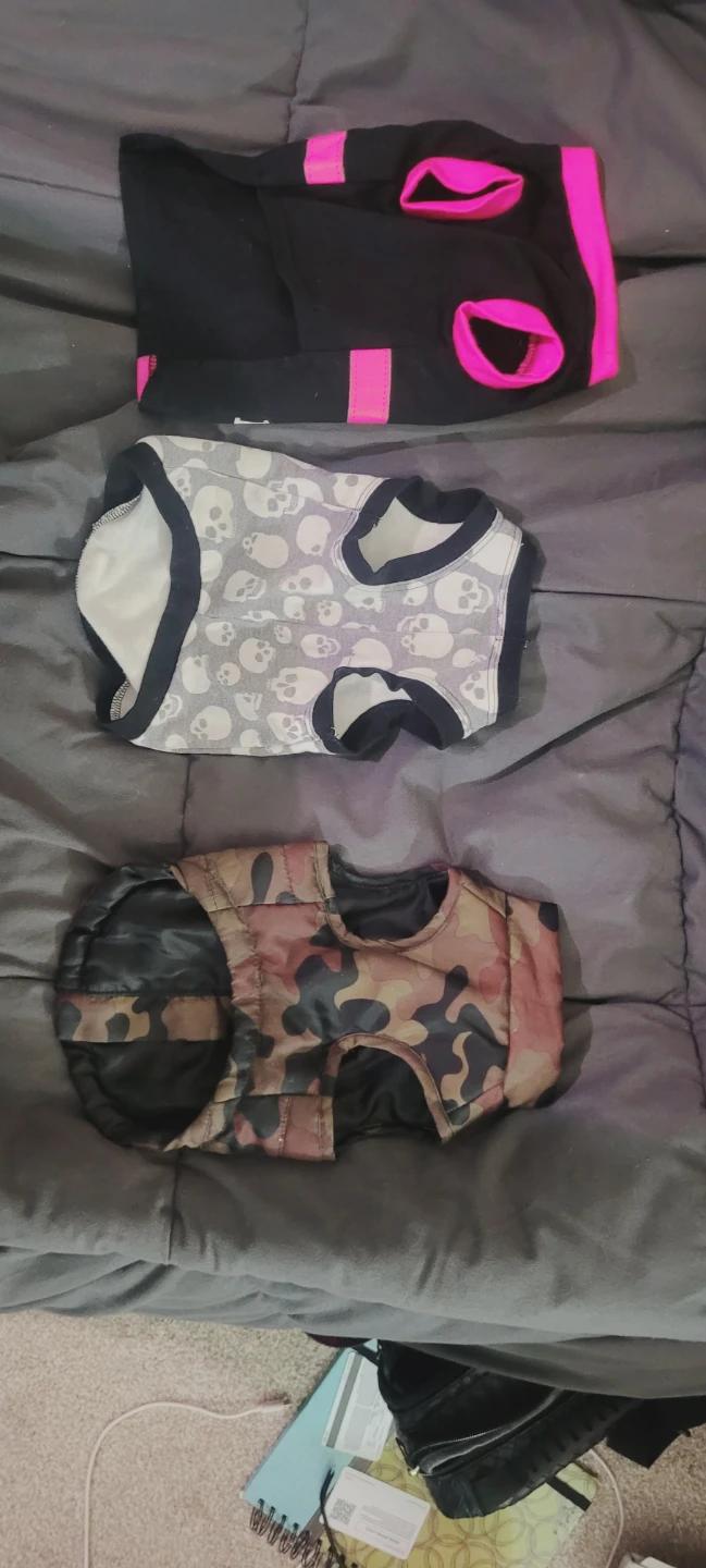 Blue hooded dog winter jacket and dog sweaters - photo 2