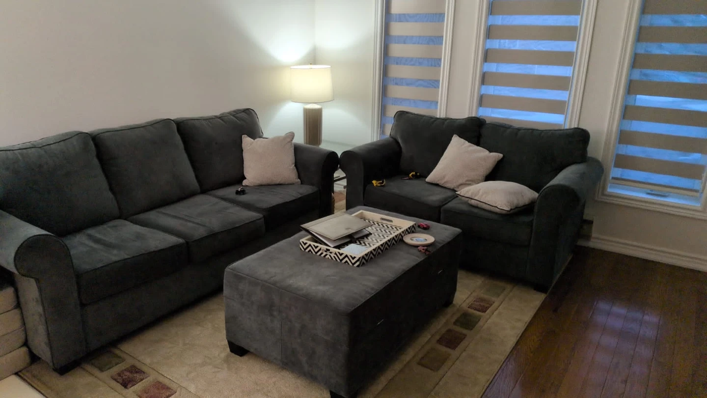 Grey Sofa, Loveseat, and Ottoman Set + carpet