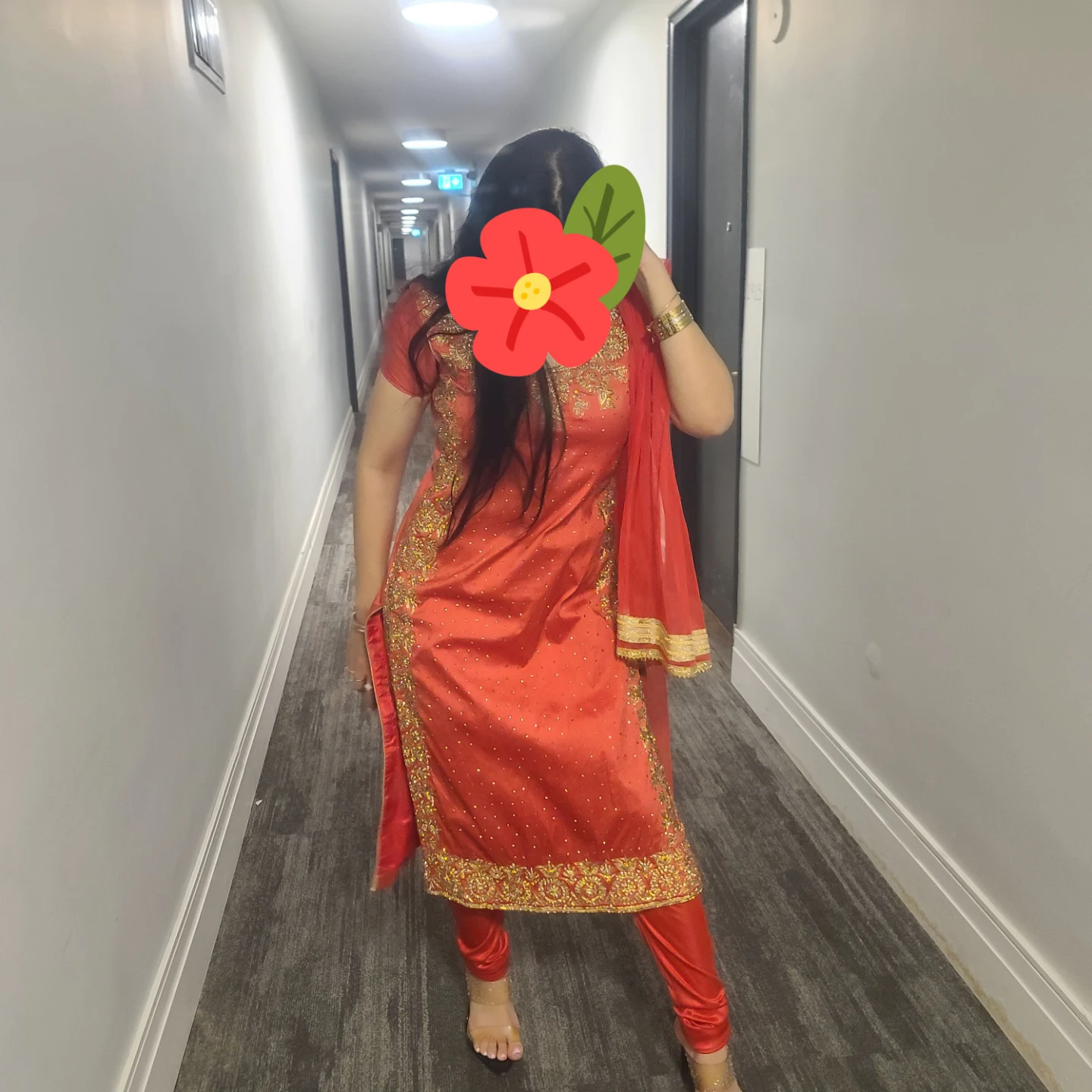 Embroidered Indian Dress
