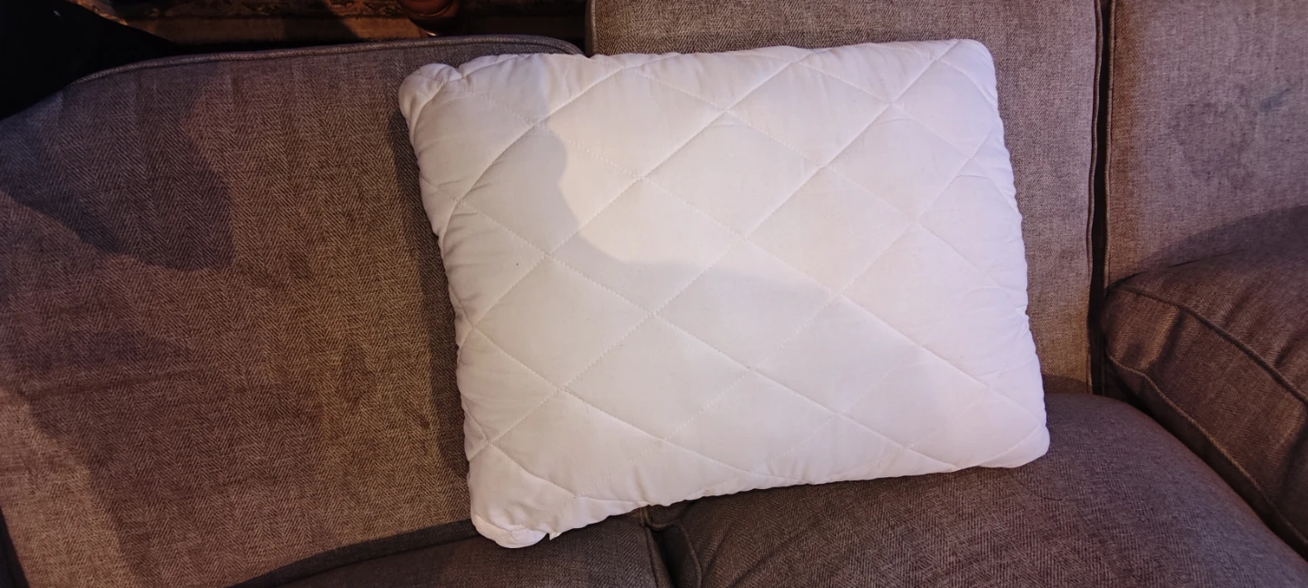 White Polyester Pillow