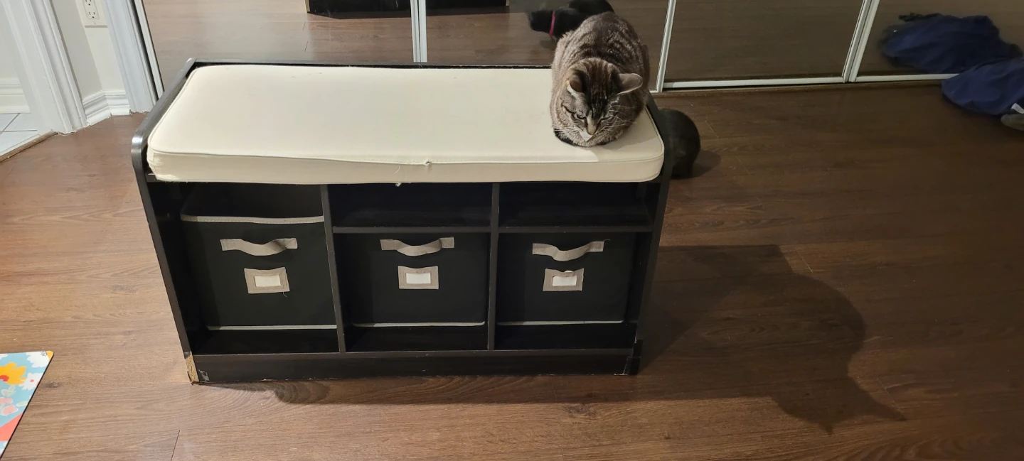 Entryway Bench with Storage Cubbies - photo 2