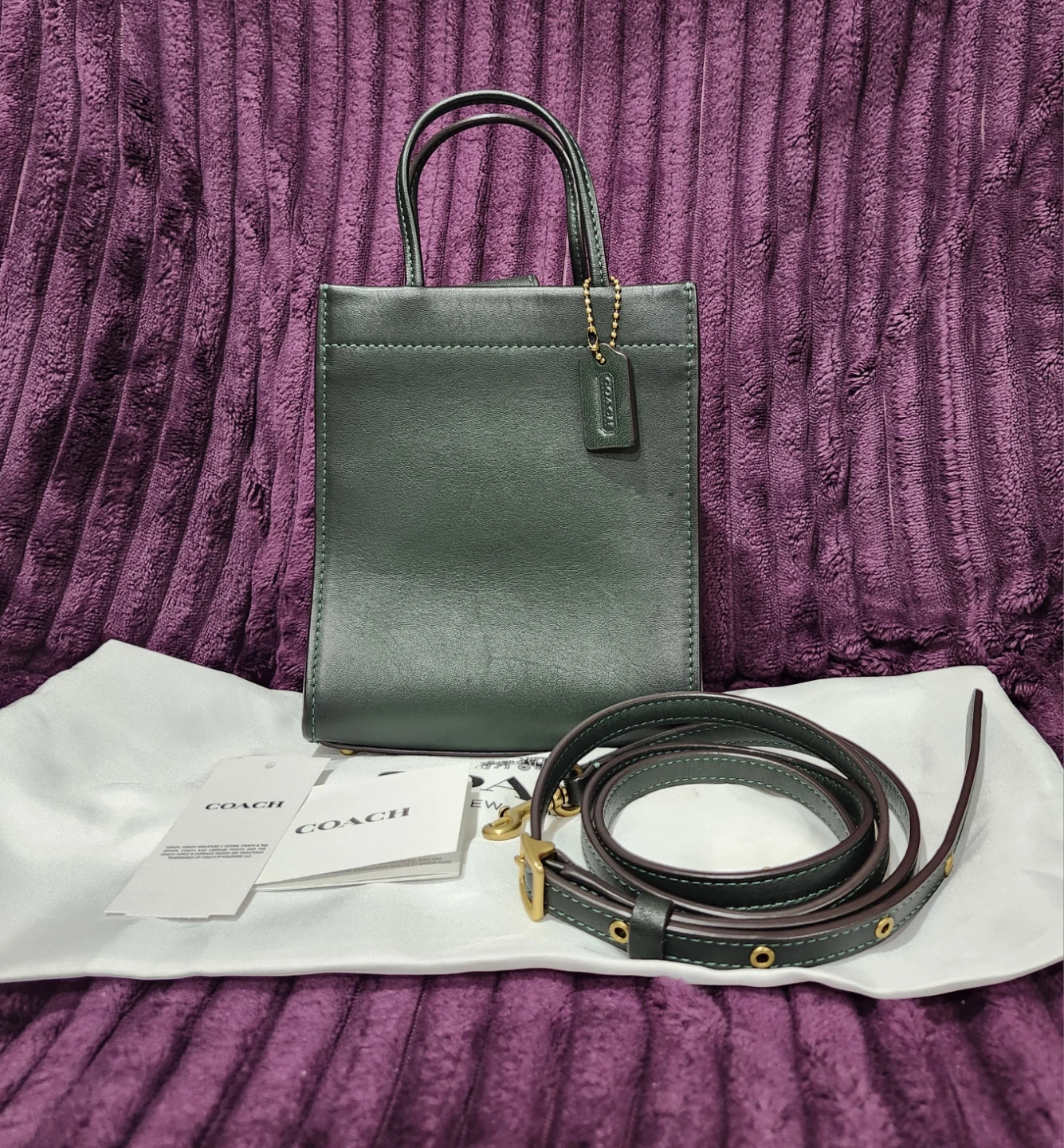 Coach Leather Mini Cashin tote - Sage Green