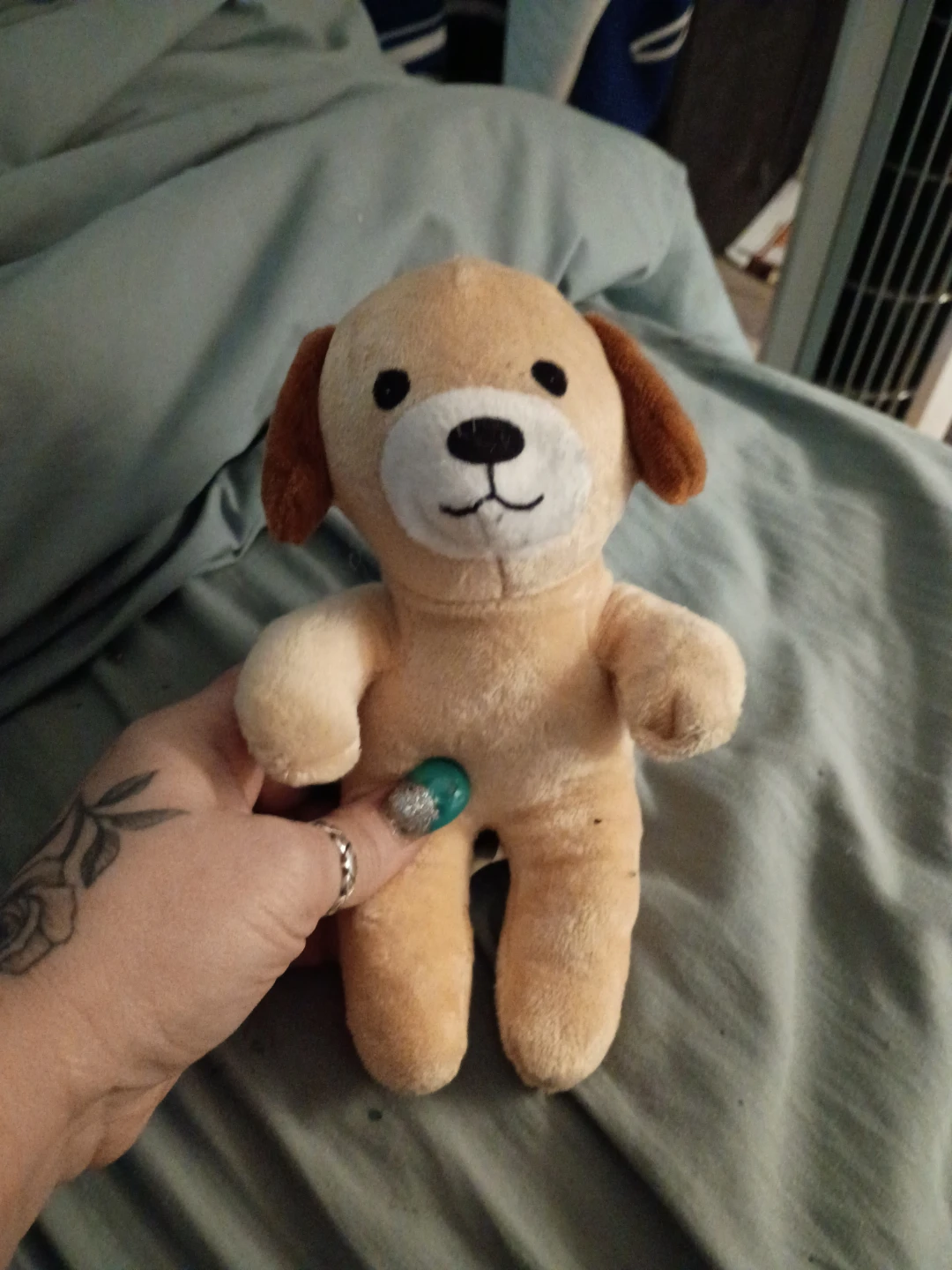 Plush Dog Toy