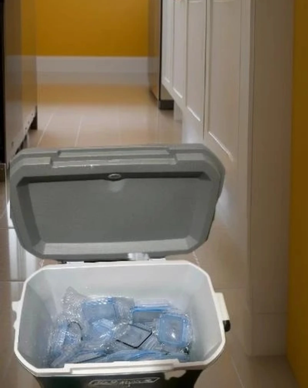 🥕Coleman 316 Series 52 QT Cooler🥕🥕 - photo 3