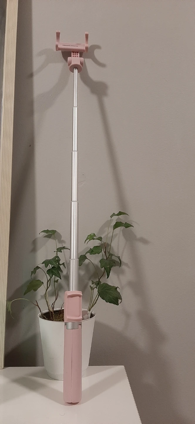Two in one Selfie Stick