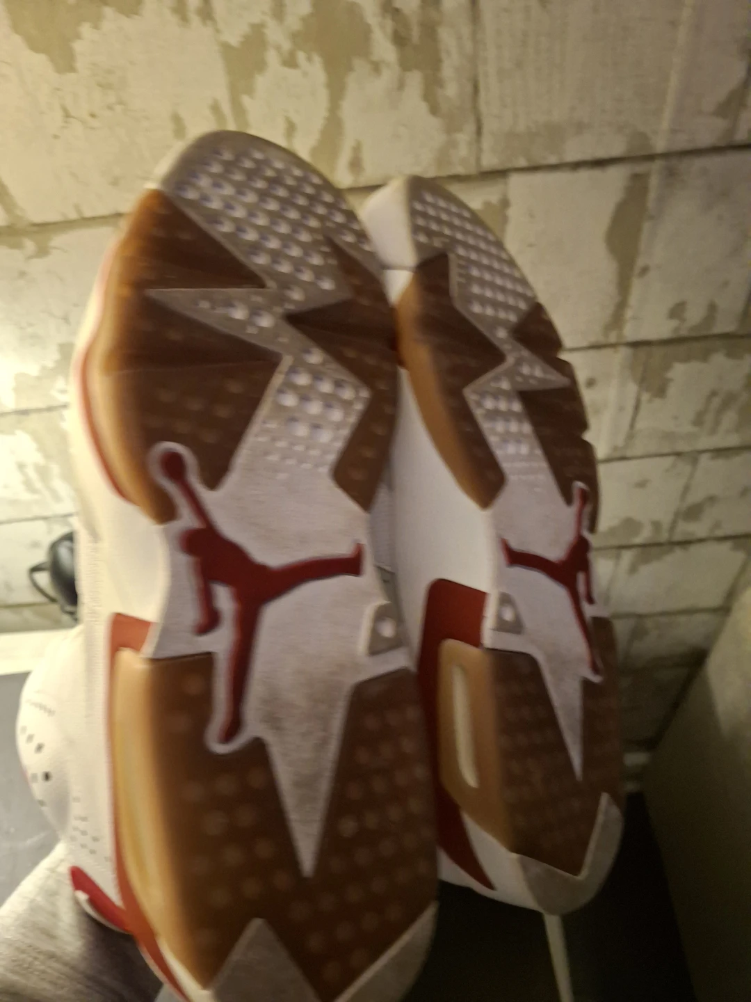 Jordan 6 - photo 3