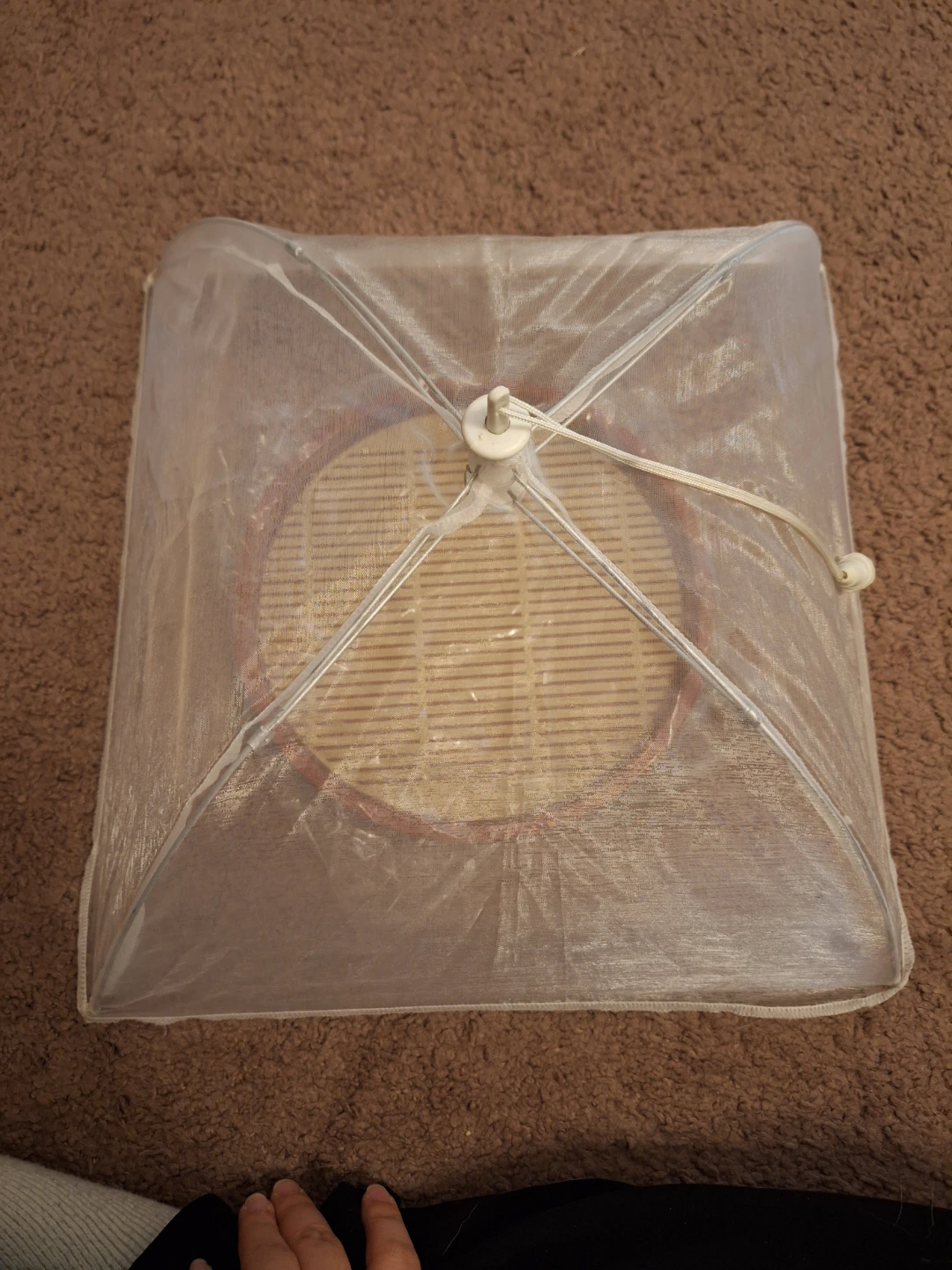 Food Cover Net Tent