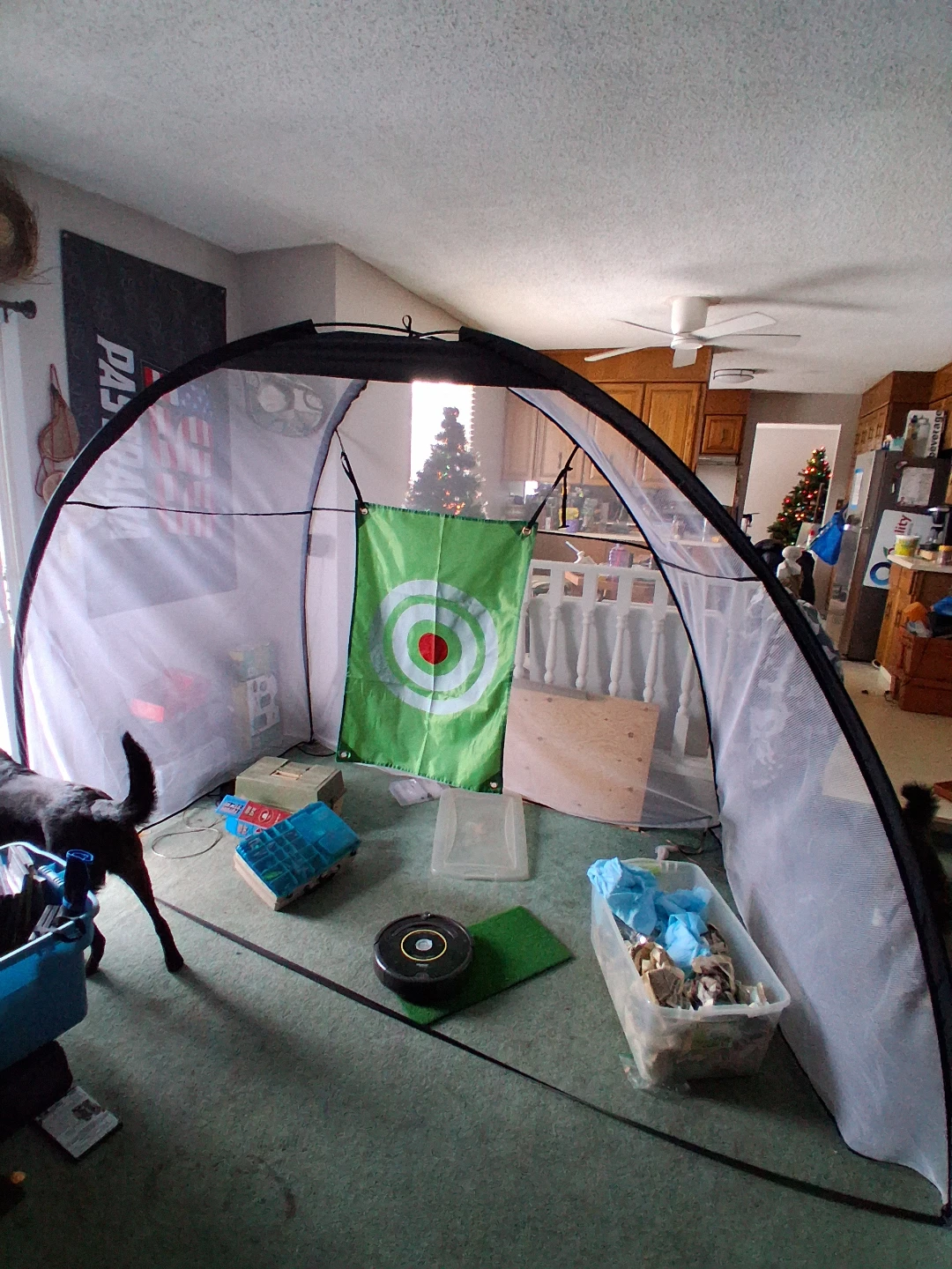 🥕 🥕 Indoor Golf Practice Net