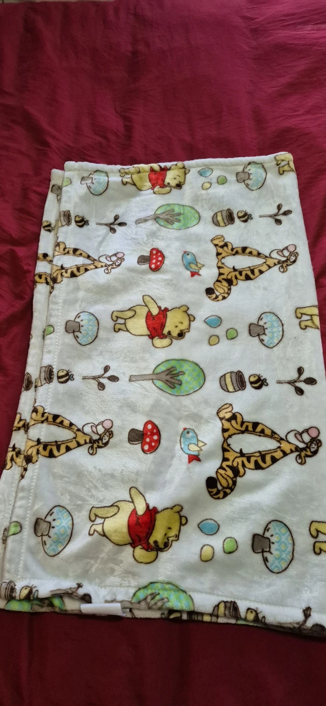 Disney Baby Winnie the Pooh Blanket - photo 2