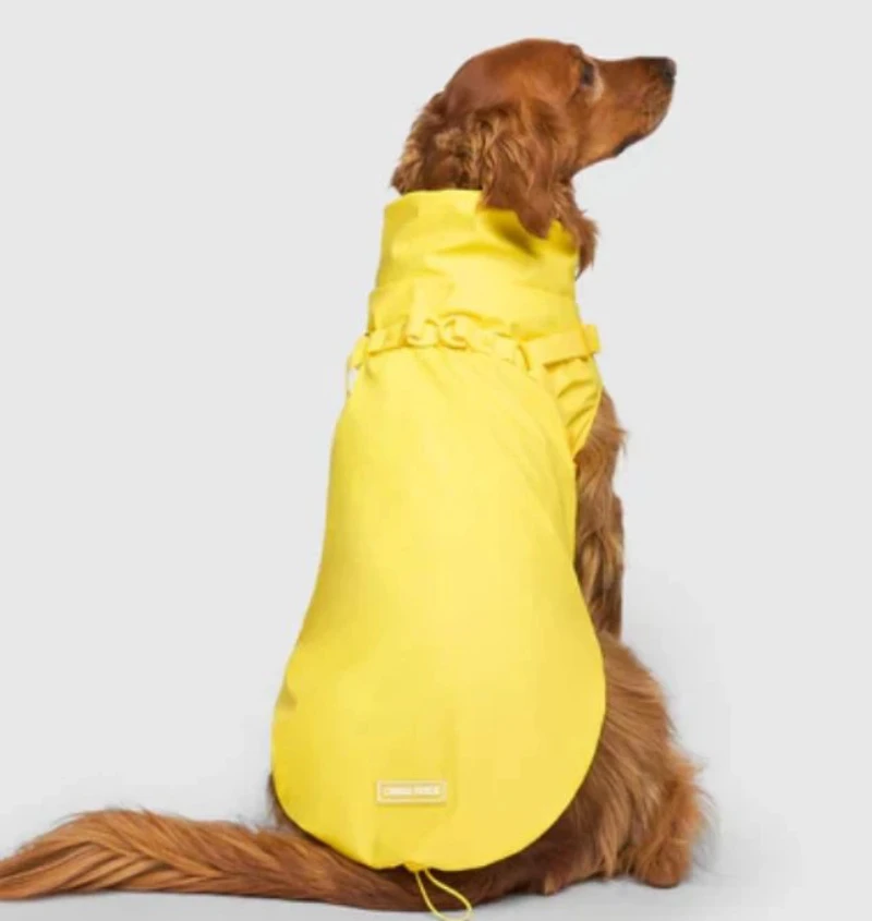 Canada Pooch Yellow Dog Harness Raincoat