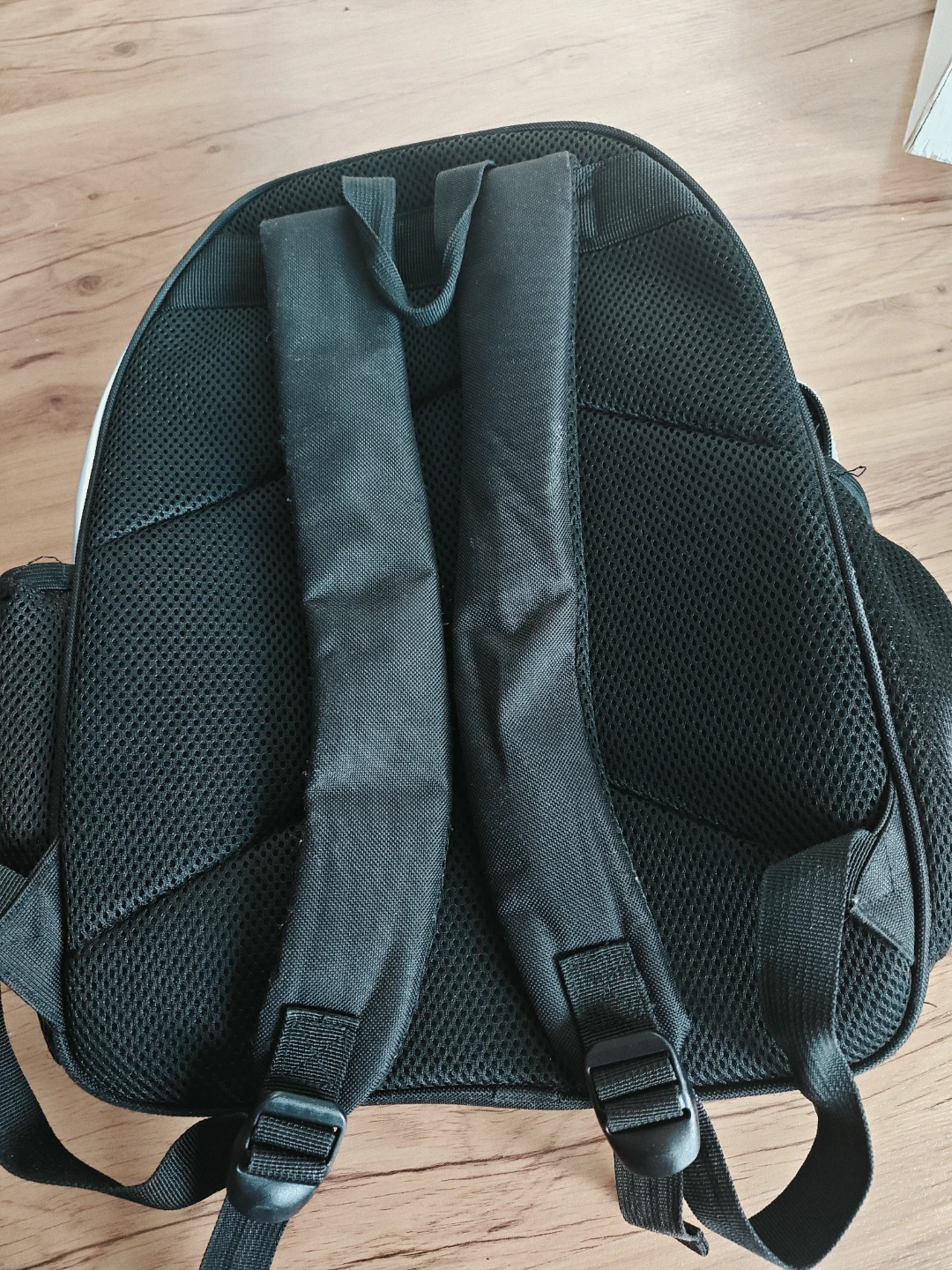FREE Holographic Panda Backpack with Sequin Heart