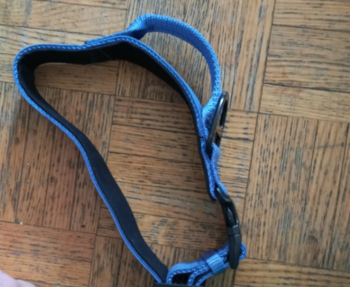 KONG Blue Dog Collar - photo 2
