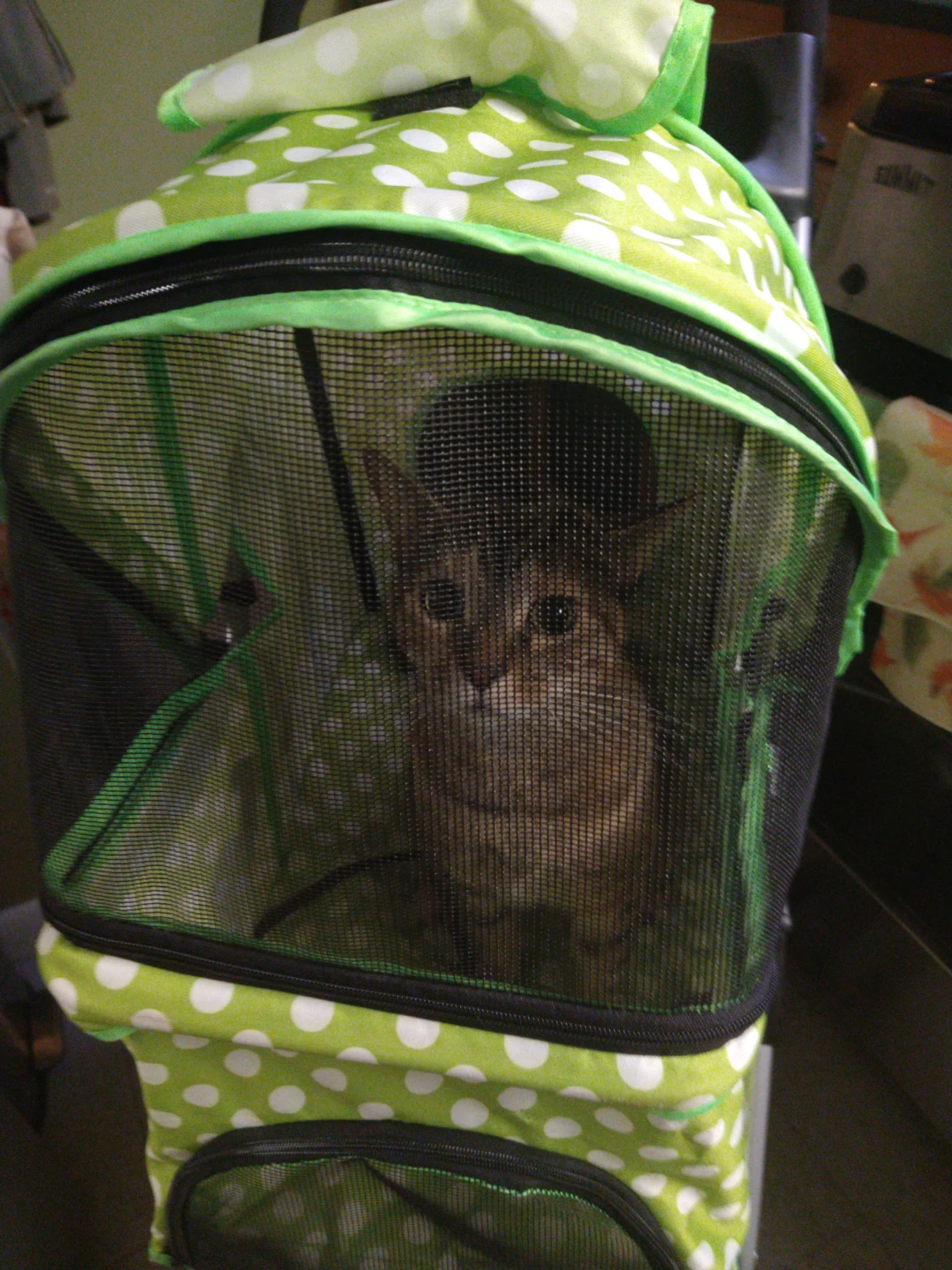 Green & White Polka Dot Pet Stroller - photo 2