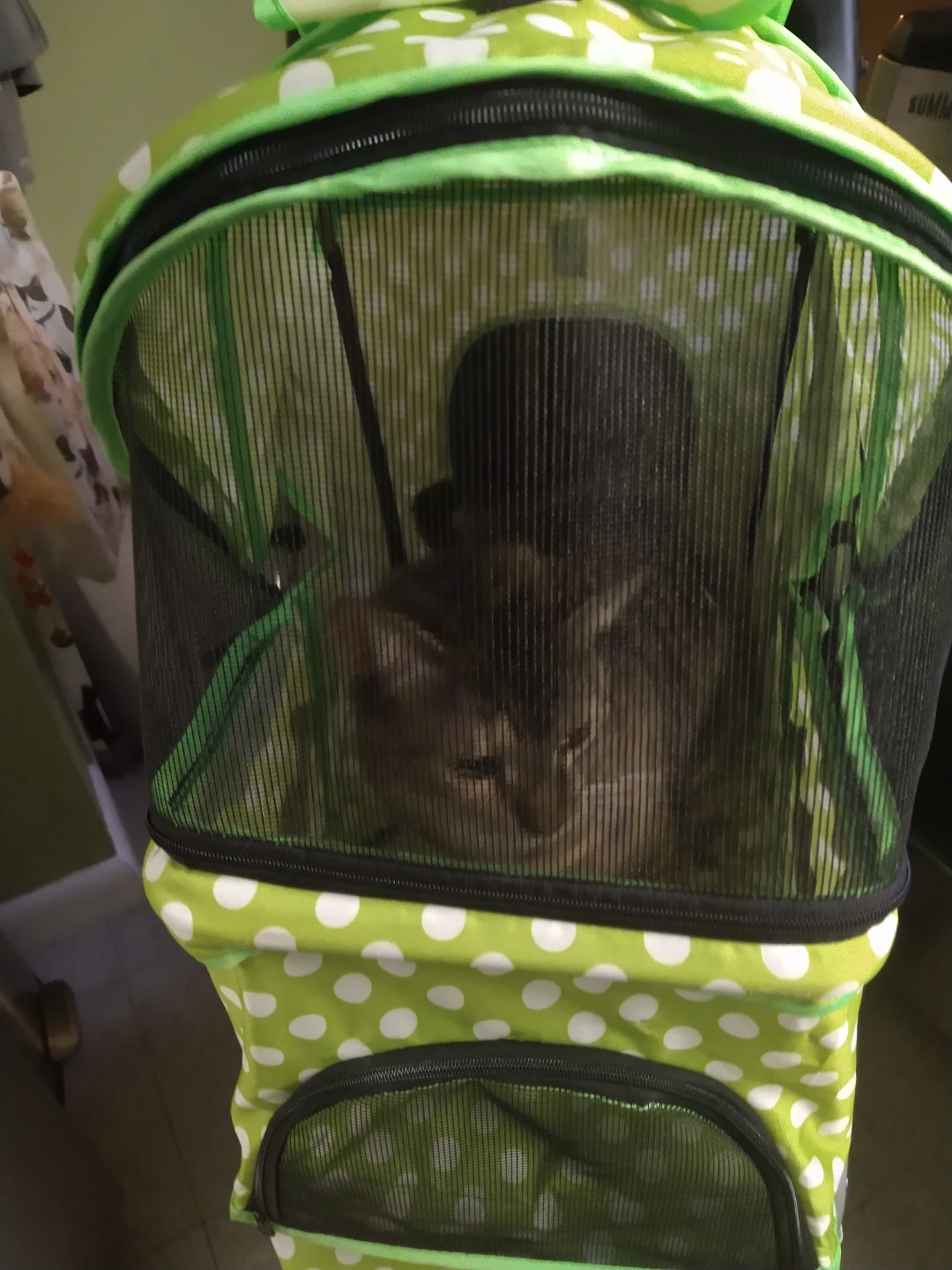 Green & White Polka Dot Pet Stroller - photo 3