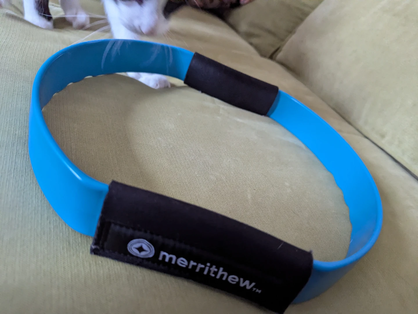 Merrithew Pilates Fitness Circle