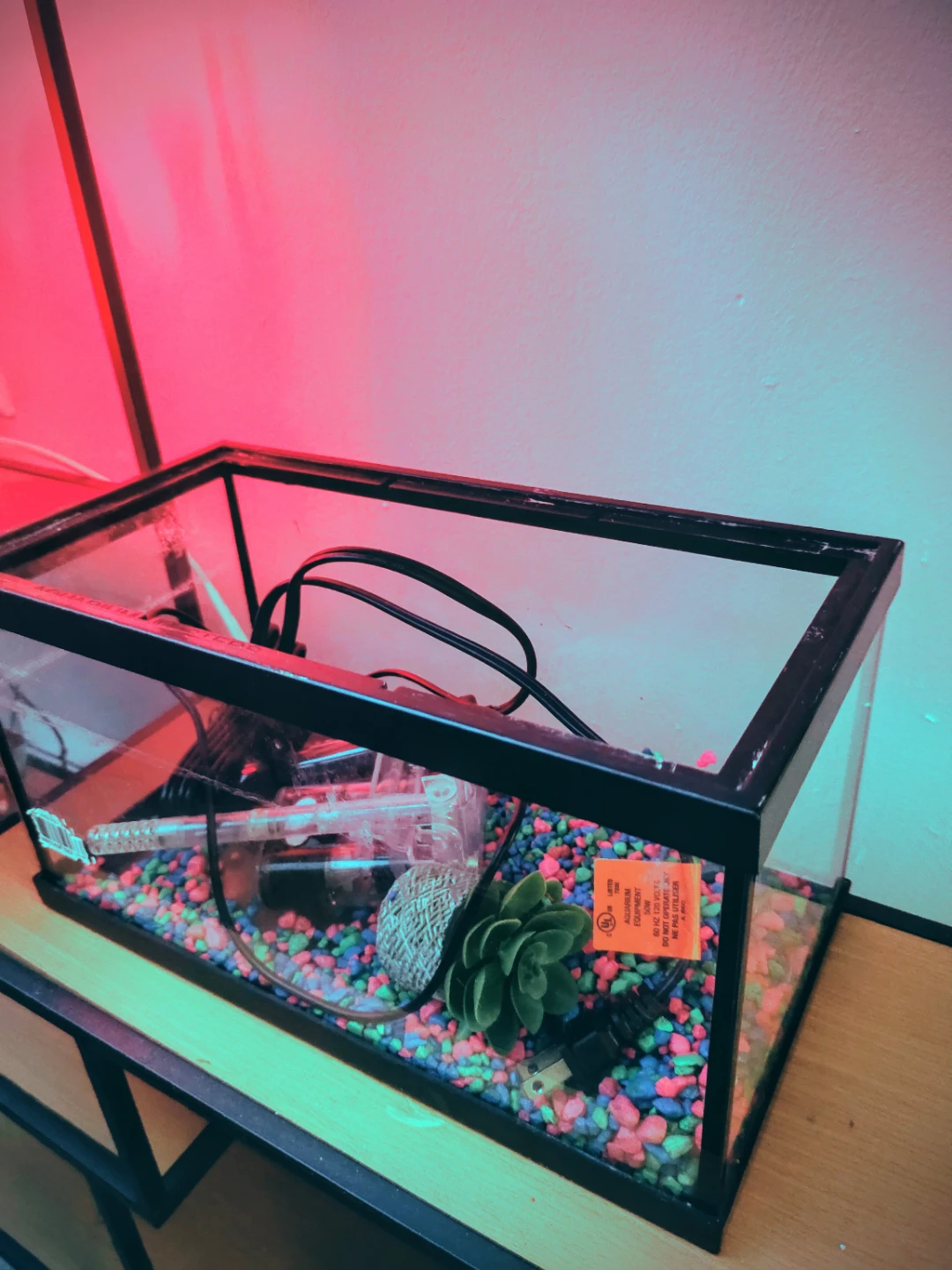 Glass Aquarium Tank with Accessories - photo 2