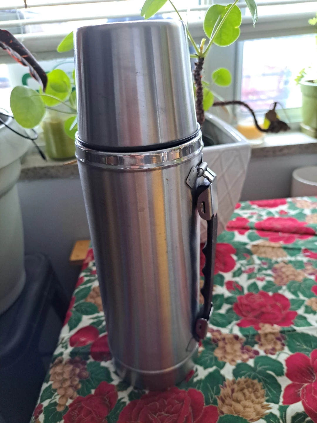 Like - New Stainless Steel Thermos 1100 ml 🥕